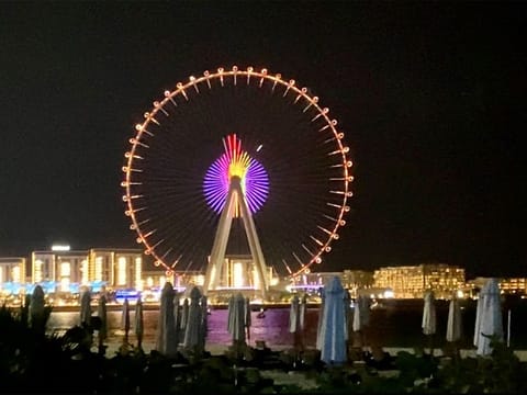 The logo of the Show the Red Card to Diabetes campaign displayed on Ain Dubai as part of the celebrations on Wednesday night to mark the success of the 100–day nationwide initiative.