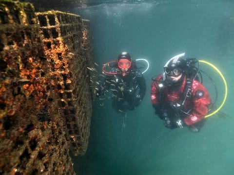 Structures like these will be deployed in specific areas of Khalifa Port, where marine life needs support and regeneration.