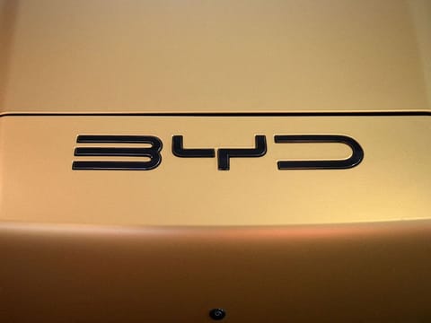 The company markets its luxury models under the Yangwang and Fang Cheng Bao brands.