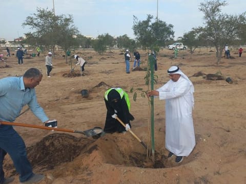 150 volunteers took part in the initiative in Al Samhah East area