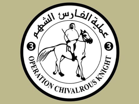 The "Birds of Goodness" campaign is part of Operation "Chivalrous Knight 3" to support the Palestinian people in Gaza.
