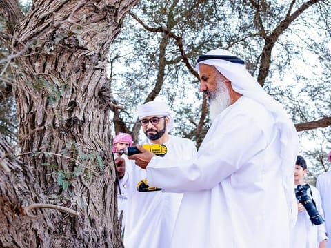 Community members have been fixing the tags to the trees to support the initiative