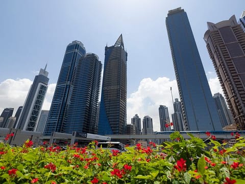 Temperatures on Friday are expected to hover around seasonal levels, reaching highs of 29°C in Abu Dhabi, 27°C in Dubai and up to 34°C in Fujairah and Liwa.