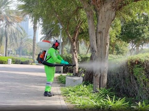 Still from video of an Abu Dhabi Public Health Centre team member using control measures against mosquitoes, flies and other pests