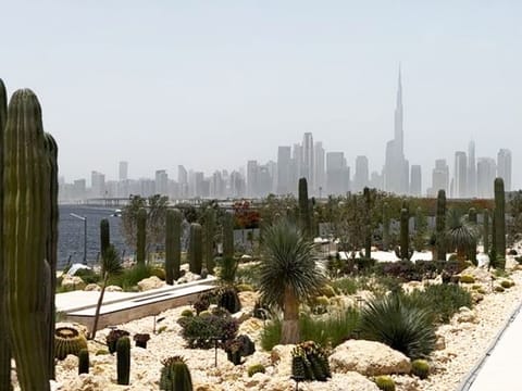 The park is a four-minute drive down from the Ras Al Khor bird sanctuary and provides a beautiful spot to enjoy breathtaking views of Dubai skyline.