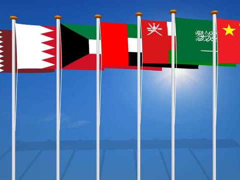 A comprehensive FTA between Gulf economies and China would constitute a huge window of opportunity.