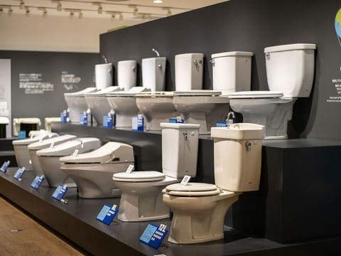 The high-tech toilet is becoming a must-have in luxury bathrooms worldwide.