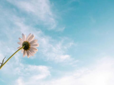 "We just are unaware of how bad the past was. People are just unaware that at least half of kids died, that diseases were rife, that most people lived in poverty, that most of the world were hungry," Hannah Ritchie, a Scottish data scientist.