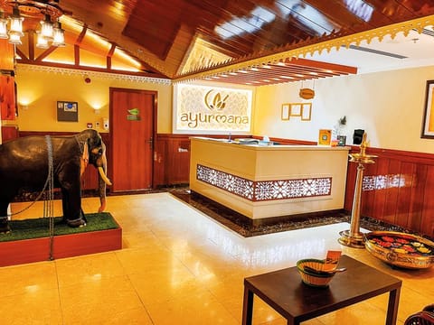 Experience authentic Ayurveda therapies in their purest form at Ayurmana Ayurveda and Panchakarma Centre