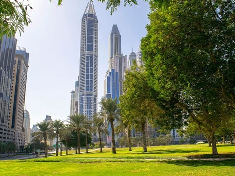 UAE in spring, not winter: Why cool weather is lasting longer this year