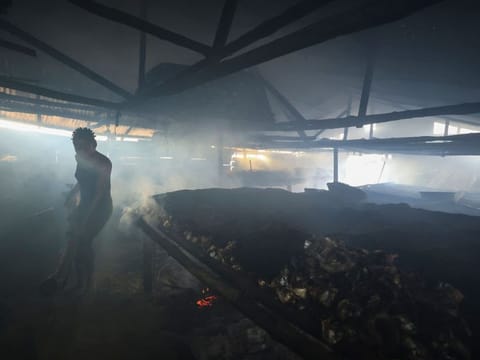 Mercy carries pieces of mangrove wood through the smoke-filled kitchen in the village of Toube II on September 26, 2024. The coastal region of Cameroon is home to productive wetlands: here the mangrove ecosystems provide key services. Mangroves play several important roles, notably in the sequestration of greenhouse gases (CO2) but also as a barrier that reduces erosion and rising waters.