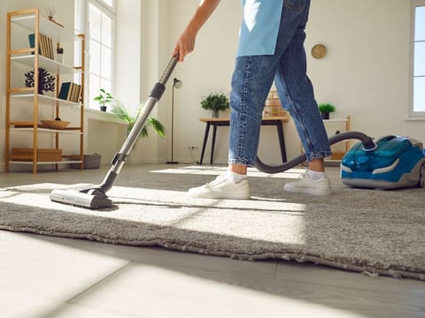 From canister vacuums (pictured) to stick or upright versions, there are many options that focus on clearing carpets of debris quickly and effectively.