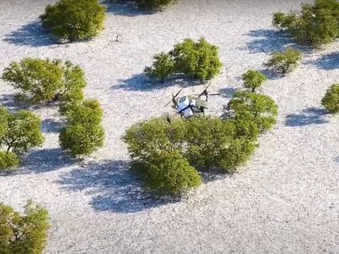 Nabat uses drones to minimise the impact on fragile ecosystems, making the restoration process more sustainable and precise.