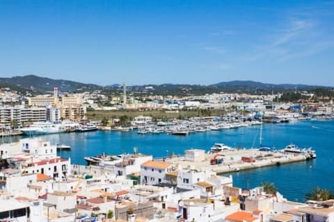 Shutterstock