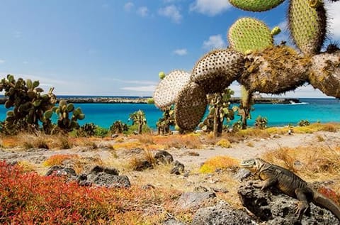 Galápagos Islands.