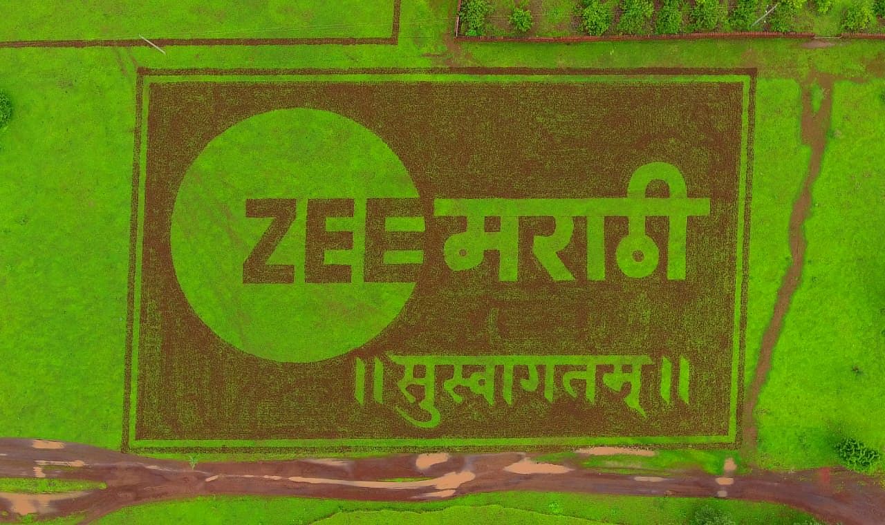 ZEE5Marathi's link in bio | Latest Products and socials | Linktree