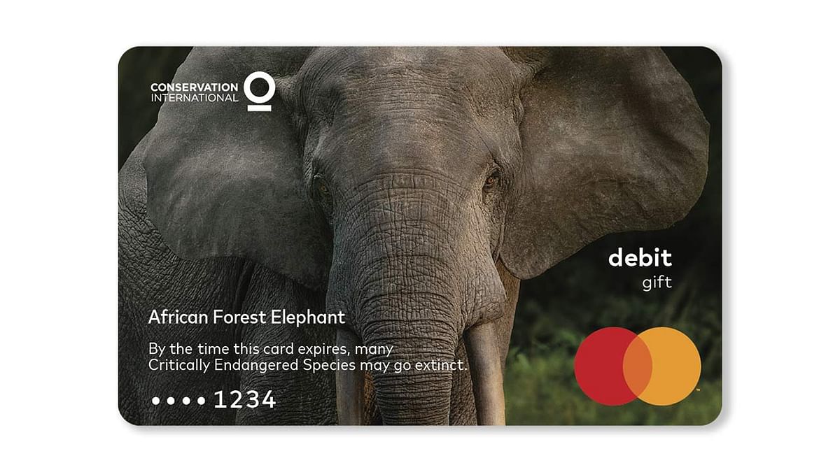 Mastercard puts the ‘expiry’ date of critically endangered species on its gift cards