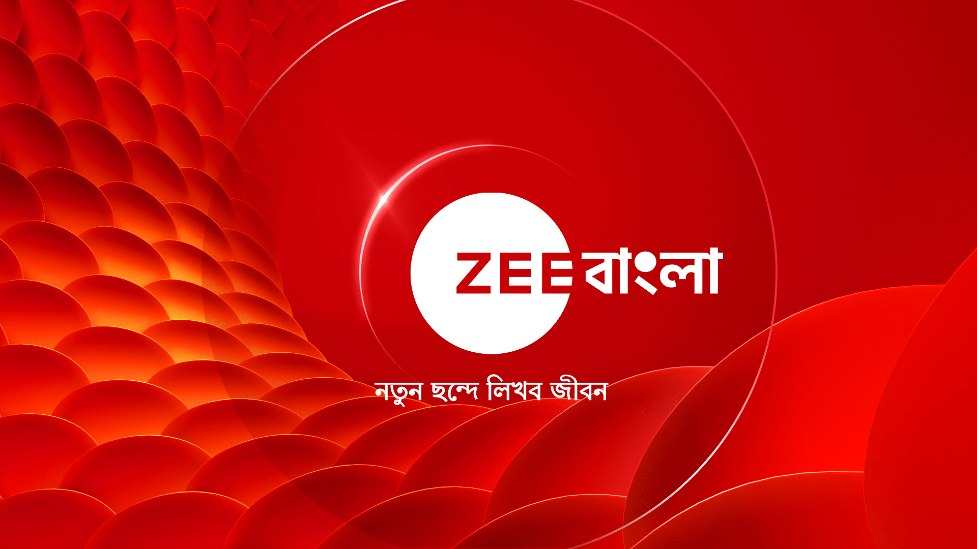 Bengali Logo Design Service, Creative Logo Designs, Design Logos