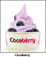 Cocoberry introduces a new blackberry yogurt flavour