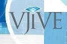 VJIVE Networks partners with ScreenRed to provide BFSI solutions