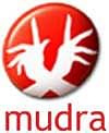 Varun Mehta is appointed creative director at Mudra