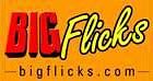 BigFlicks.com ties up with Raj TV Network for video content