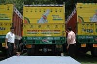 Limca to paint the highways in its colours