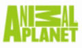 Animal Planet launches a brand new identity
