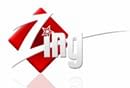 ZEE Muzic rebranded as Zing