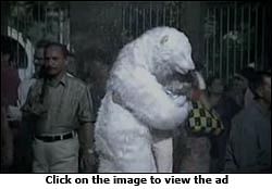 Halls: In need of a bear hug?