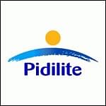 Madison Media wins the media duties for Pidilite Industries