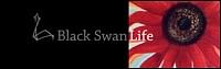 Black Swan Life hires Rozanne Singh as director and creative partner