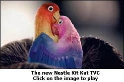 Kit Kat nestles up with lovebirds