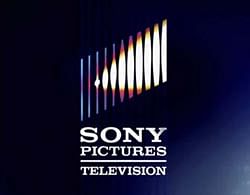 Sony Pictures to up stakes in MSM by 32 per cent