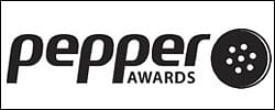 Pepper Creative Awards 2013: DDB Mudra named Agency of the Year