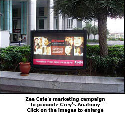 Zee Cafe turns on Grey fever