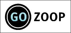 Digital agency Gozoop acquires Red Digital
