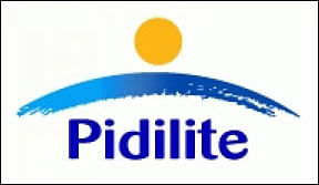 Pidilite wins favourable judgement in infringement case