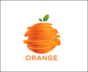 T.Sarkar ventures into broadcasting; to launch Orange TV