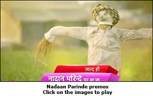 Life OK to launch 'Nadaan Parinde' at dual prime time slot