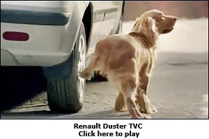 Even Dogs Know It's A Duster!