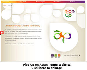 Asian Paints: Plop-Ups of Information