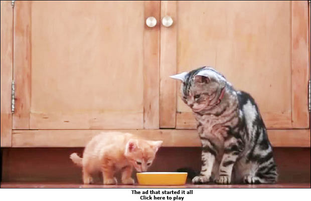 Viral Now: Heard Friskies' Cat talk yet?