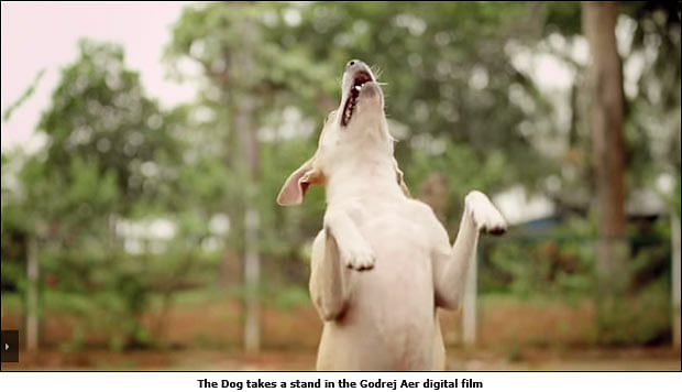 Godrej Aer: Dogs, Pigeons And Trees Persuade Humans