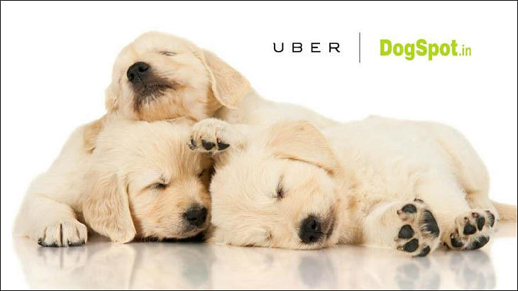 Uber treats Delhiites to 'puppy love'