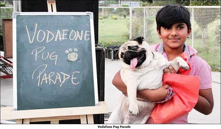 Vodafone involves pug owners to promote 4G offering; conducts 'Pug Parade'