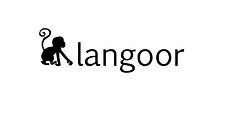 Langoor bags digital mandate for Goodness!