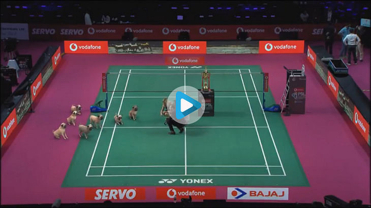 afaqs! Creative Showcase: When Vodafone put pugs on a badminton court