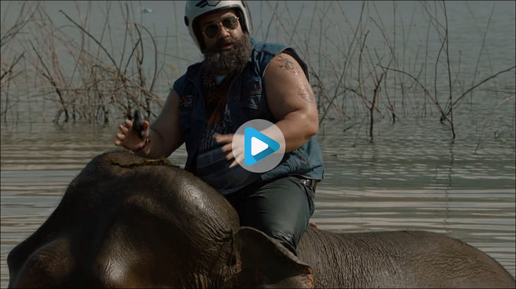 afaqs! Creative Showcase: New "Haathi mat paalo..." ads