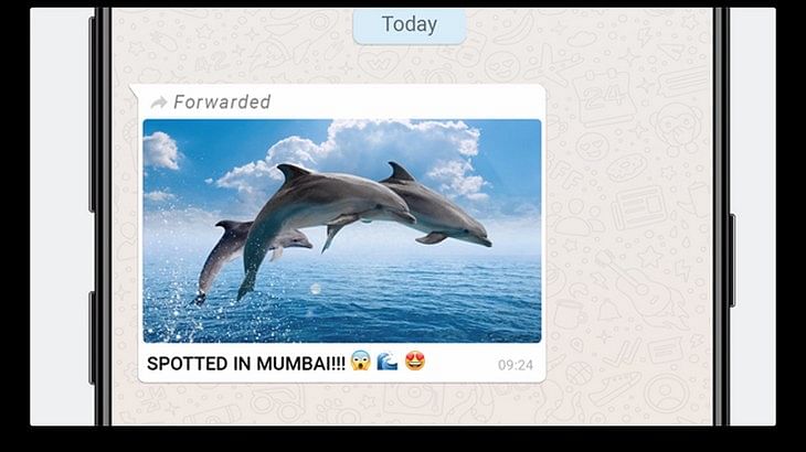 WhatsApp prompts users to 'Share Joy, Not Rumours' once again